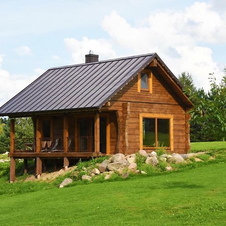 Vip Forest Dreams Villa Anykščiai Buitenkant foto