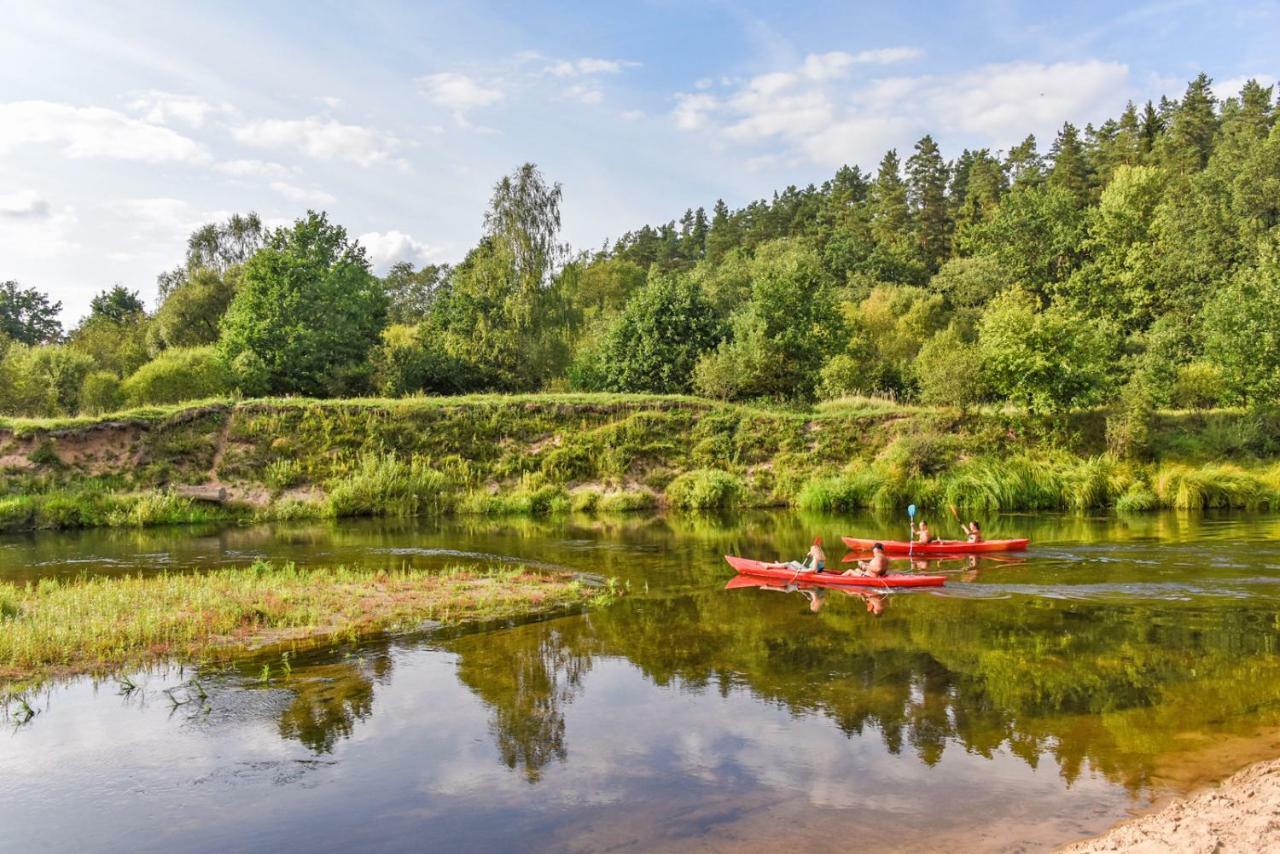 Vip Forest Dreams Villa Anykščiai Buitenkant foto