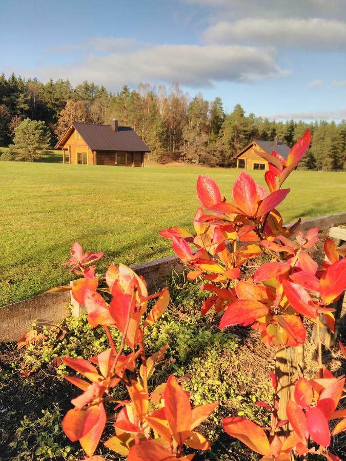 Vip Forest Dreams Villa Anykščiai Buitenkant foto