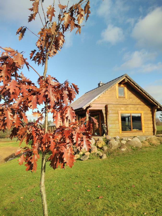Vip Forest Dreams Villa Anykščiai Buitenkant foto