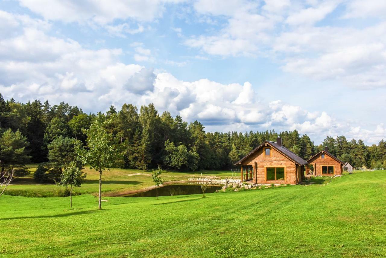 Vip Forest Dreams Villa Anykščiai Buitenkant foto
