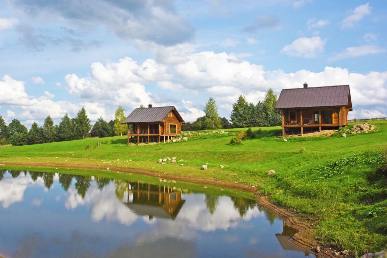Vip Forest Dreams Villa Anykščiai Buitenkant foto
