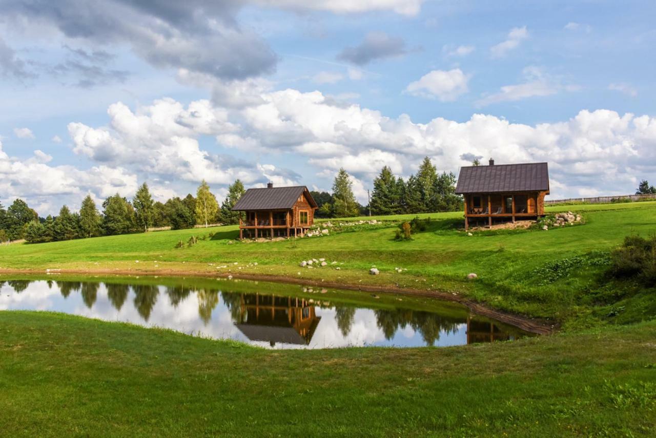Vip Forest Dreams Villa Anykščiai Buitenkant foto