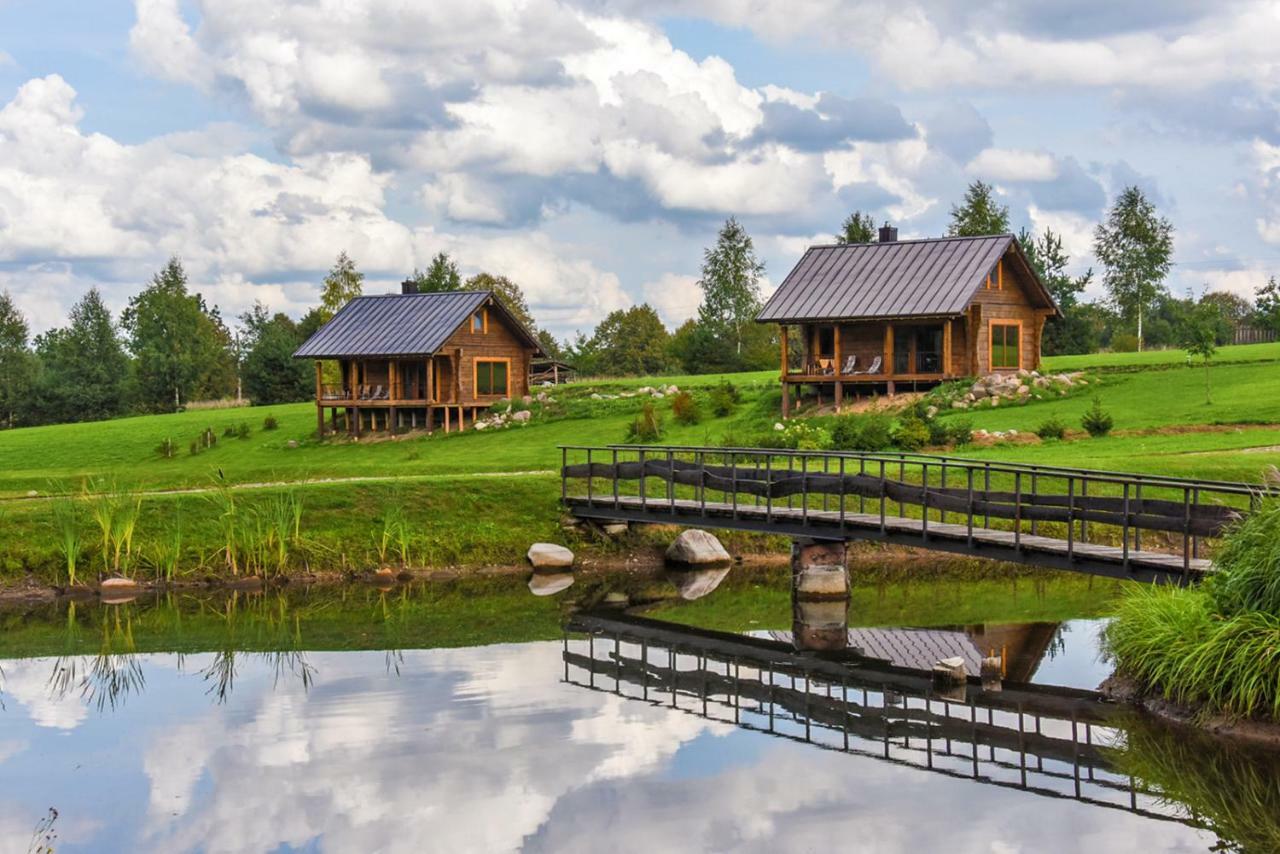 Vip Forest Dreams Villa Anykščiai Buitenkant foto