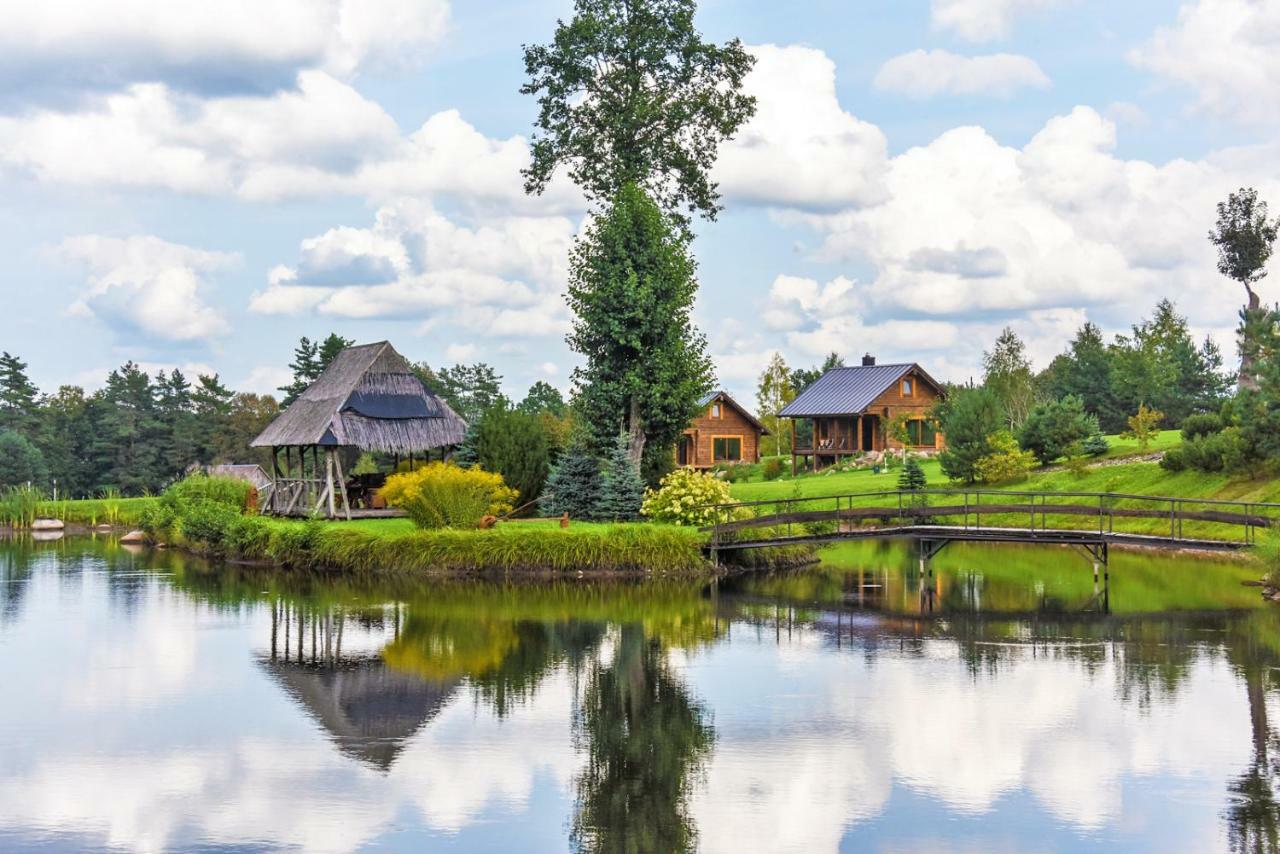 Vip Forest Dreams Villa Anykščiai Buitenkant foto